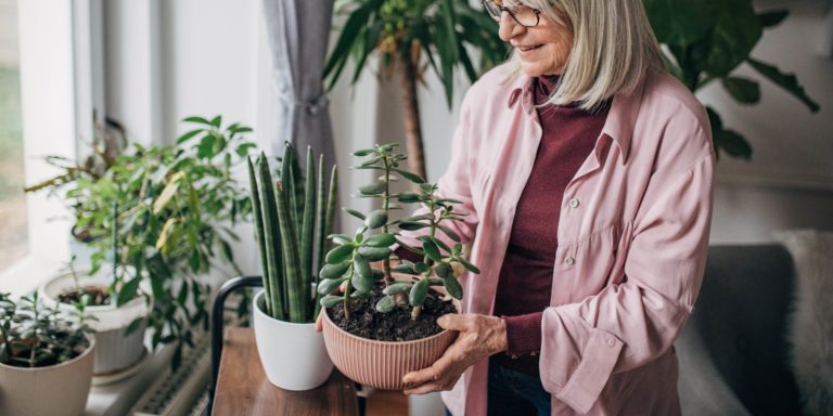 green care loistohoiva